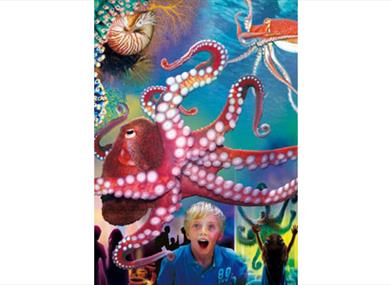 Octopus Garden - new for 2013!
