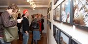 Exhibitions