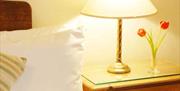 Bedside lamp