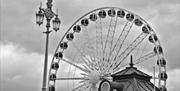 Brighton Wheel