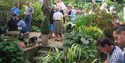 Garden Gadabout