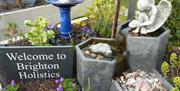 Brighton Holistics