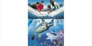 Glass bottomed boat