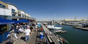 boardwalk