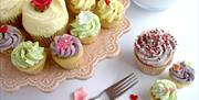 Angel Food Bakery