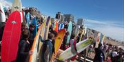 surfers