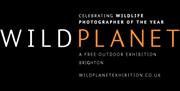 Wild Planet logo.