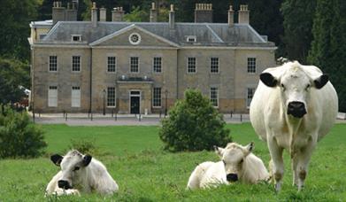 Stanmer House