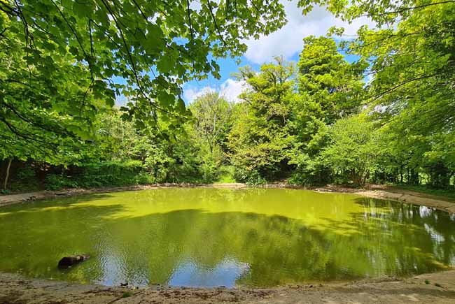 Stanmer Park, Brighton