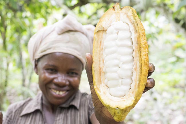 Woman holding up a cocoa bean pod and smiling.