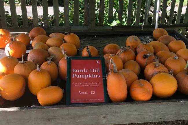 Pumpkins at Borde Hill Gardens