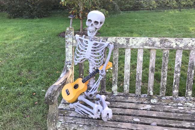 Skeleton sitting on a bench playing a guitar