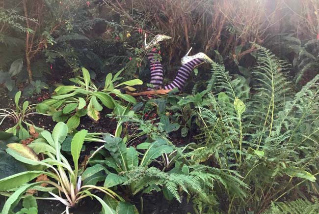 Witch's legs sticking out of a bush