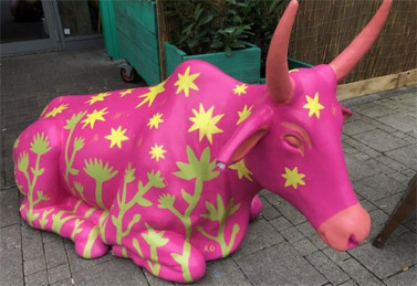 Pink Cow in Brighton