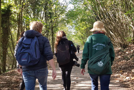 People doing a Healthwalk in Stanmer Park, Brighton