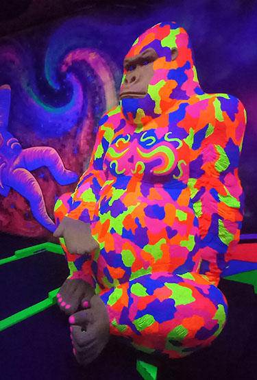 Joe the Gorilla at Globalls, Brighton